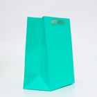 Пакет подарочный ламинированный «Тиффани», ML 23×27×11.5 см - Фото 2