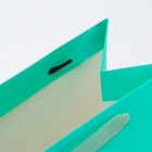 Пакет подарочный ламинированный «Тиффани», ML 23×27×11.5 см - Фото 4