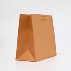 Пакет подарочный ламинированный горизонтальный «Крафт», ML 27×23×11.5 см - Фото 2