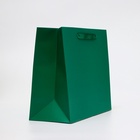 Пакет подарочный ламинированный горизонтальный «Изумрудный», ML 27×23×11.5 см - Фото 2