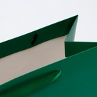 Пакет подарочный ламинированный горизонтальный «Изумрудный», ML 27×23×11.5 см - Фото 4