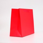 Пакет подарочный ламинированный горизонтальный «Красный», ML 27×23×11.5 см - Фото 2