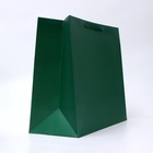 Пакет подарочный ламинированный горизонтальный «Изумрудный», XL 49×40×19 см - Фото 2