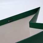 Пакет подарочный ламинированный горизонтальный «Изумрудный», XL 49×40×19 см - Фото 4