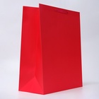 Пакет подарочный ламинированный вертикальный «Красный», XL 40×49×19 см - Фото 2