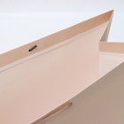 Пакет подарочный ламинированный горизонтальный «Ваниль», XXL 61×46×20 см - Фото 4