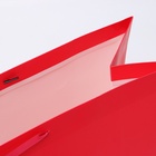 Пакет подарочный ламинированный горизонтальный «Красный», XXL 61×46×20 см - Фото 4