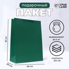Пакет подарочный ламинированный вертикальный «Изумрудный», XXL 46×61×20 см - Фото 1
