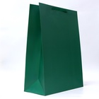 Пакет подарочный ламинированный вертикальный «Изумрудный», XXL 46×61×20 см - Фото 2