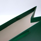 Пакет подарочный ламинированный вертикальный «Изумрудный», XXL 46×61×20 см - Фото 4