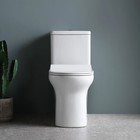 Унитаз моноблок Comforty CF3C6329P, универсальный выпуск, дюропласт, 2-реж. арматура - Фото 3