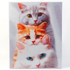 УЦЕНКА Алмазная вышивка полное заполнение "Котята", на раме, 40*50 см - Фото 1