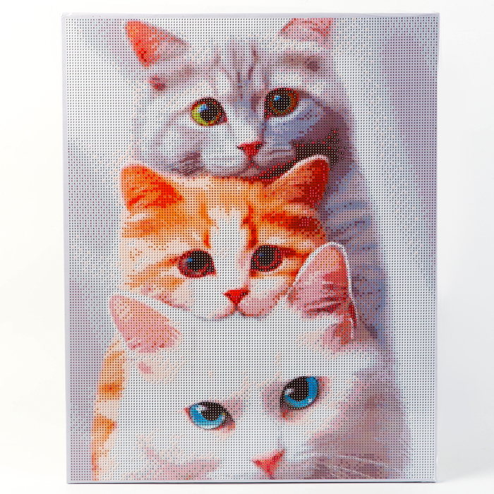 УЦЕНКА Алмазная вышивка полное заполнение "Котята", на раме, 40*50 см - Фото 1