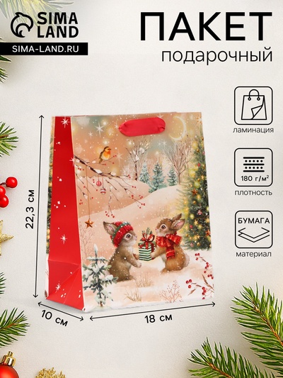 Пакет подарочный новогодний «Зайки», 18×22.3×10 см