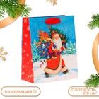 Пакет подарочный новогодний ламинированный «Дед мороз спешит в гости», 18×22.3×10 см - Фото 1