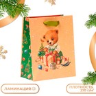 Пакет подарочный новогодний ламинированный «Ми-ми-мишка», 18×22.3×10 см - Фото 1