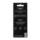 Ароматизатор в авто подвесной Cartage Hot Series, Чёрный лёд, картонный - Фото 5