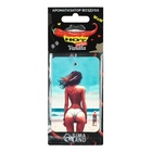 Ароматизатор подвесной в авто Cartage Hot Series, Ваниль, картонный - Фото 4