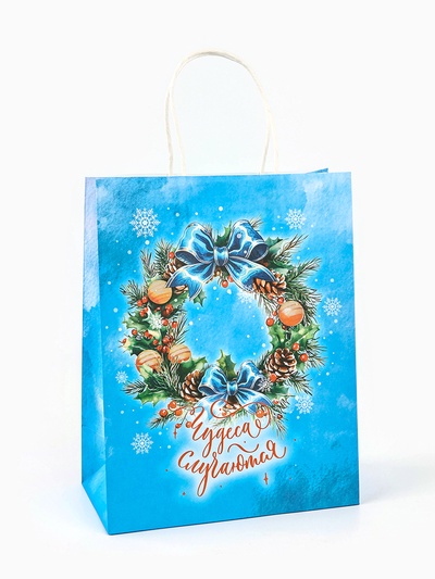 Пакет бумажный подарочный новогодний крафт «Чудеса случаются» 27×21×11 см