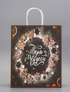 Пакет бумажный подарочный новогодний крафт «Верь в чудеса» 32?26?11 см (комплект 2 шт) - фото 58015061