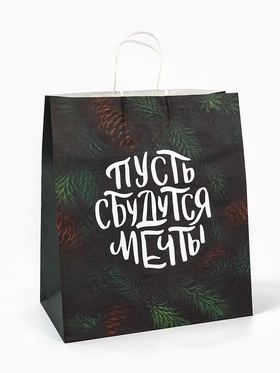 Пакет бумажный подарочный новогодний крафт «Сбудутся мечты» 32?17.5?37 см (комплект 2 шт)