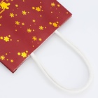 Пакет бумажный подарочный новогодний с тиснением, «На встречу Новому Году» 16×12×6 см - Фото 3