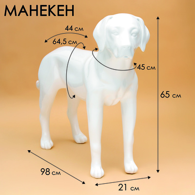 Манекен собаки, стоячий, разборный, фибергласс,  белый