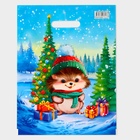 Пакет подарочный новогодний «Колючка», полиэтиленовый с вырубной ручкой, 31×40 см - Фото 2