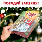 Раскраски - открытки новогодние «Новый год! », набор 2 шт., 15 открыток - Фото 4