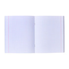 Комплект тетрадей из 5 штук, 48 листов в клетку Calligrata "Яркий акцент", матовая ламинация + выборочный УФ-лак, блок офсет - фото 25550300