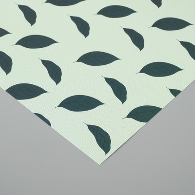 Бумага для скрапбукинга «Листья авокадо», плотность 180 г, набор 5 шт., 30.5×32 см