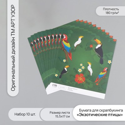 Бумага для скрапбукинга «Экзотические птицы», плотность 180 г, набор 10 шт., 15.5×17 см