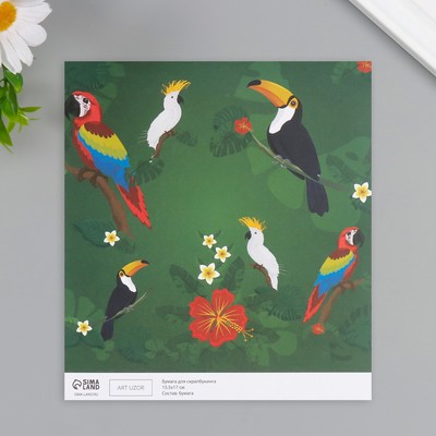 Бумага для скрапбукинга "Экзотические птицы" плотность 180 гр набор 10 шт 15,5х17 см
