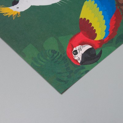 Бумага для скрапбукинга двусторонняя "Попугаи, фламинго и зебры" плотность 180 гр набор 5 шт 30,5х32