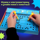 Электровикторина «Изучаем животных», 200 заданий, 3+ - Фото 2