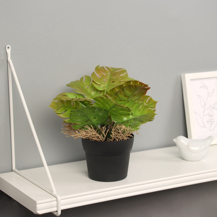 Искусственный цветок в горшке «Асплениум премиум», 21×10.5 см, МИКС