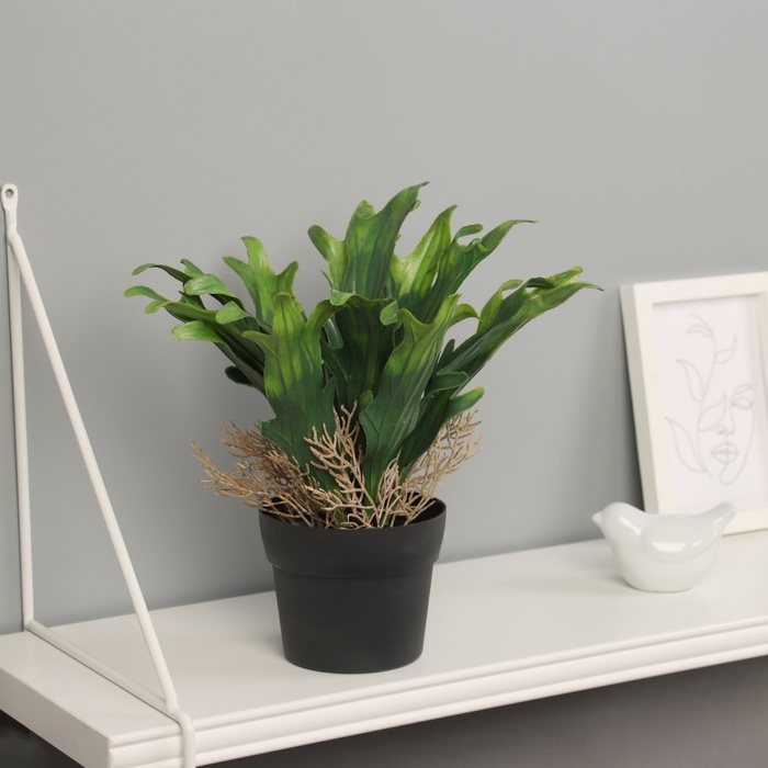 Искусственный цветок в горшке «Платицериум премиум экстра», 24×10.5 см, МИКС