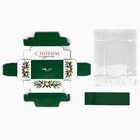 Коробка под 2 конфеты с ячейками «Новогодняя ботаника», 10 х 6 х 3 см, Новый год (5 шт) - фото 808232059