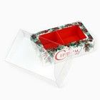 Коробка под 2 конфеты с ячейками «С Новым годом!», 10 х 6 х 3 см, Новый год (5 шт) - фото 808145292