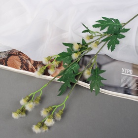 Цветы искусственные «Мимоза садовая люкс», h=60 см, белые