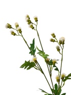 Цветы искусственные "Мимоза садовая люкс" 60 см, белый - фото 809302662