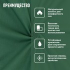 Комплект наволочек Bravo, поплин, размер 50x70 см, 2 шт, цвет зелёный - фото 27823406