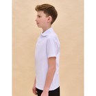 Футболка поло для мальчиков Pelican, рост 152 см, цвет белый - Фото 2