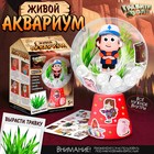 Набор для опытов «Живой аквариум», Гравити Фолз 10425026 - фото 4151342