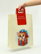 Пакет подарочный новогодний с вырубной ручкой «Лучший подарок» 30?40?12 см (комплект 12 шт) - фото 53865896 Пакет подарочный новогодний с вырубной ручкой «Лучший подарок» 30?40?12 см (комплект 12 шт) - фото 53865896