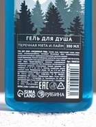 Гель для душа, 300 мл, аромат мята и лайм 10645723 - фото 319754823