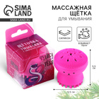 Щёточка для умывания «Новогодняя коллекция: Чудеса для тебя», 5,5 х 5,5 см - Фото 1