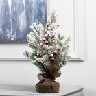 Фигура светодиодная «Зимняя хвоя» 35×27×27 см, 20 LED, батарейки AG13×3 (в комплекте), свечение тёплое белое - Фото 2