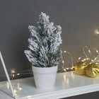 Искусственная ёлка настольная «Зимнее волшебство. Снег» в горшочке, 20 см, ветки ПВХ отгибаются - Фото 1