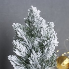 Искусственная ёлка настольная «Зимнее волшебство. Снег» в горшочке, 20 см, ветки ПВХ отгибаются - Фото 3